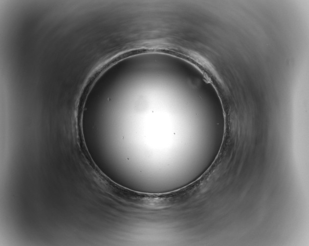 X0000088361176200706051018