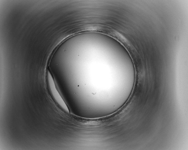 X0000088361178200706051018