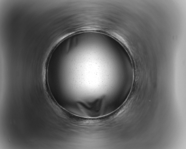 X0000088361179200706051018