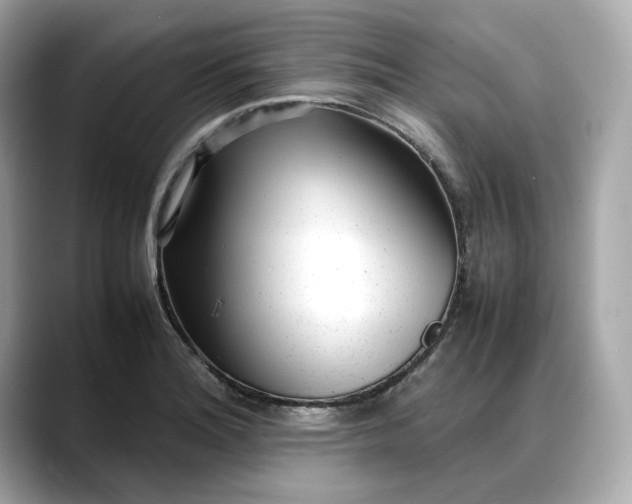 X0000088361180200706051018