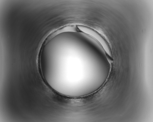 X0000088361181200706051018