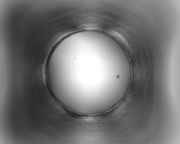 X0000088361182200706051018