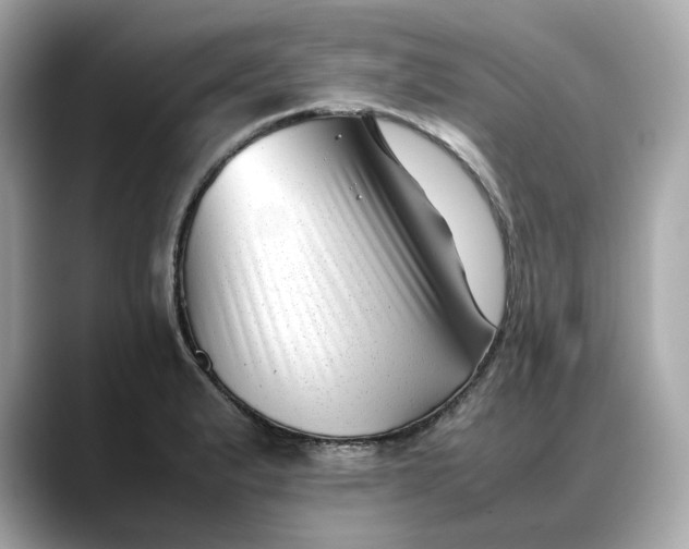 X0000088361183200706051018