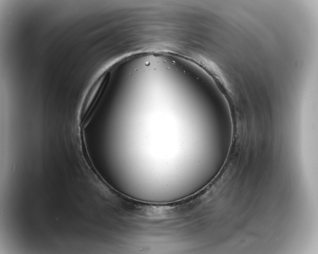 X0000088361184200706051018