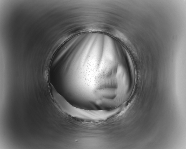 X0000088361185200706051018