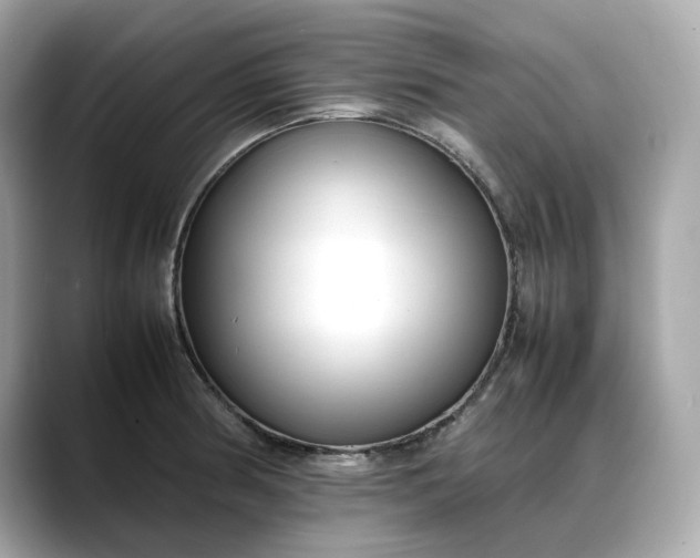 X0000088361186200706051018