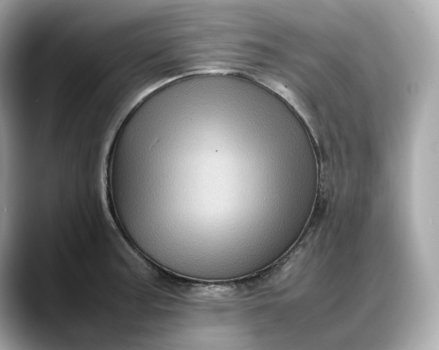 X0000088361187200706051018