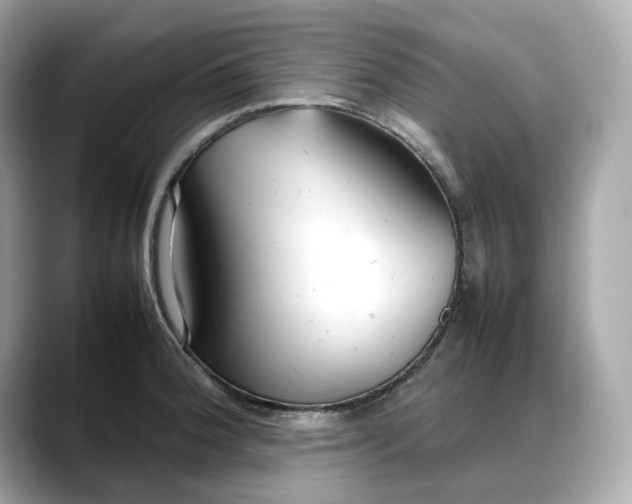 X0000088361188200706051018