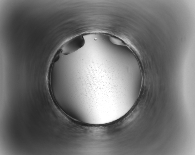 X0000088361189200706051018