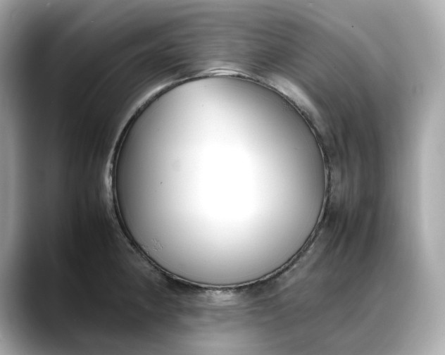 X0000088361190200706051018