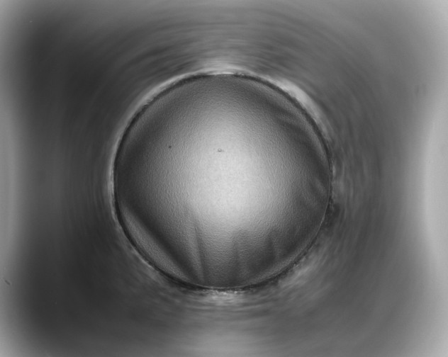 X0000088361191200706051018