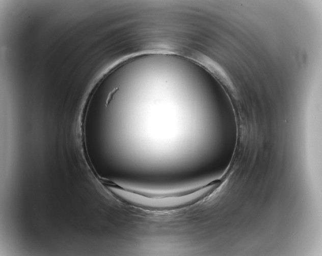 X0000088361192200706051018