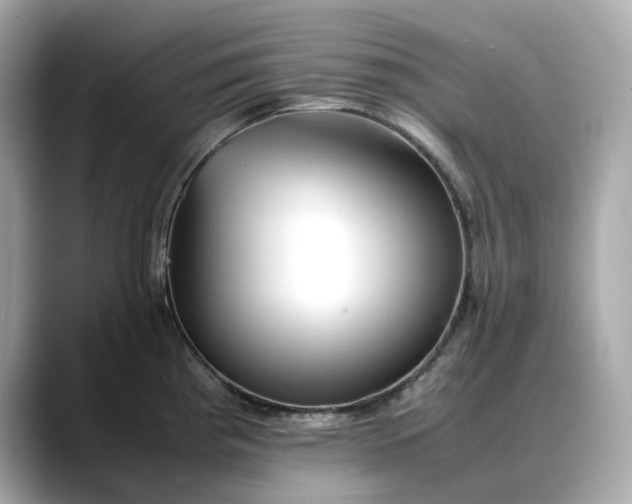 X0000088361193200706051018