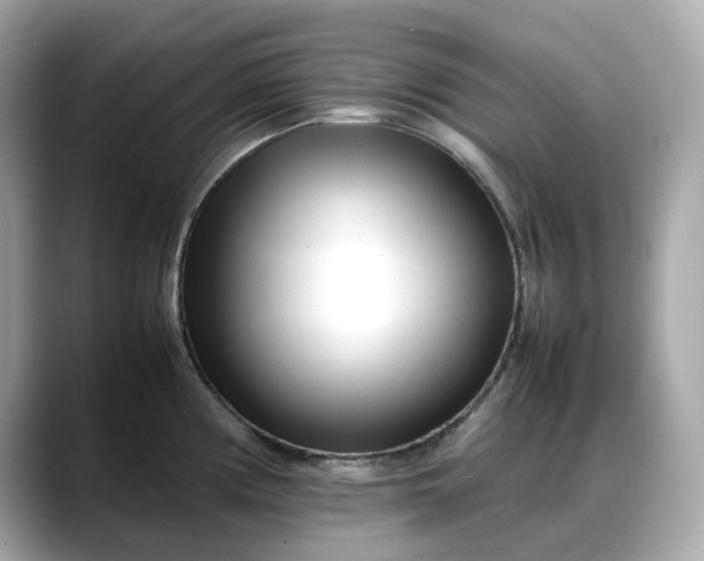 X0000088361194200706051018