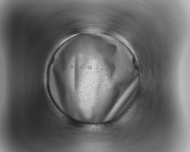 X0000088361195200706051018