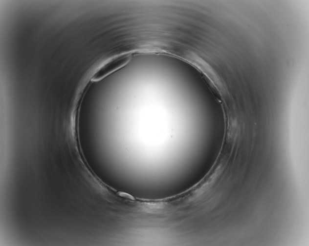 X0000088361196200706051018