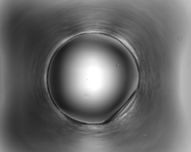 X0000088361197200706051018