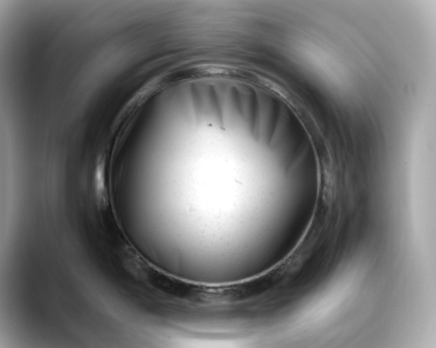 X0000088361198200706051018