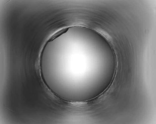 X0000088361200200706051018