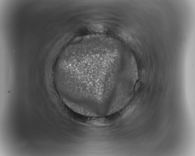 X0000088361201200706051017