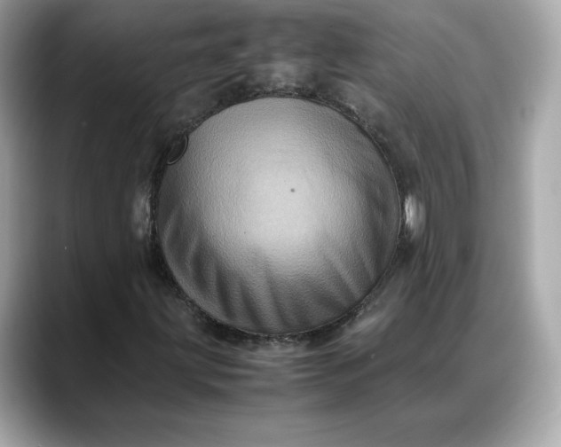 X0000088361203200706051017