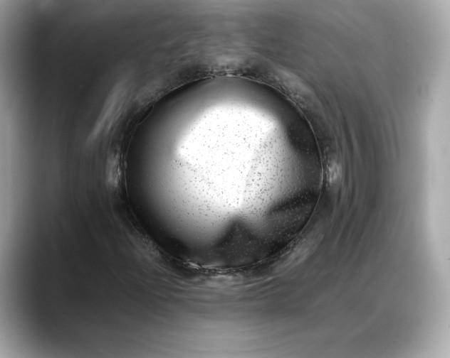 X0000088361204200706051017