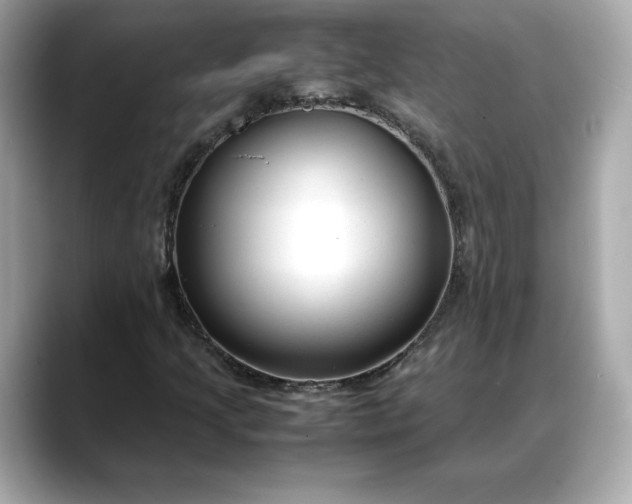 X0000088361205200706051017