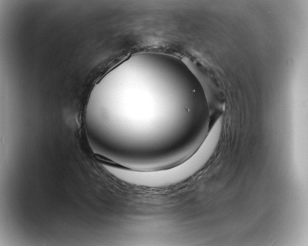 X0000088361206200706051017