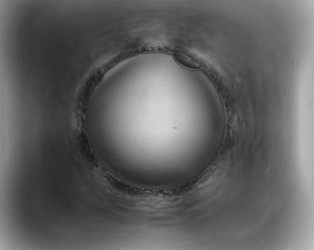 X0000088361207200706051017