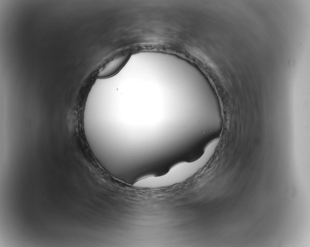 X0000088361208200706051017