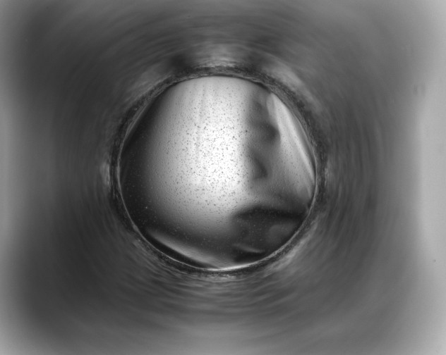 X0000088361209200706051017