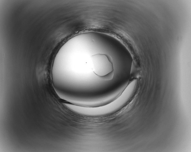 X0000088361210200706051017