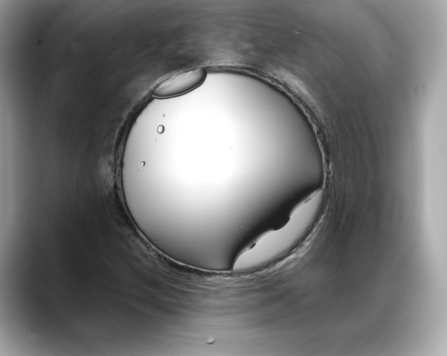 X0000088361212200706051017