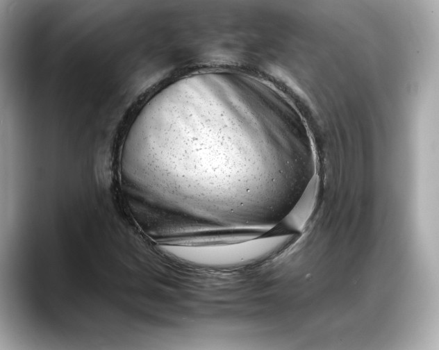 X0000088361213200706051017