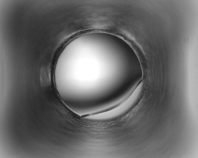 X0000088361214200706051017