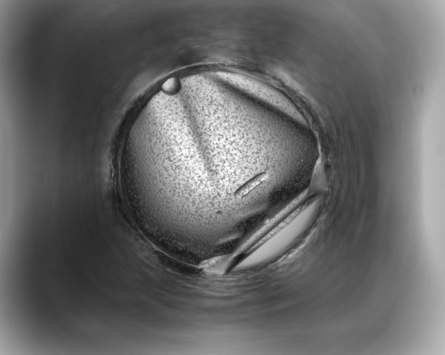 X0000088361215200706051017