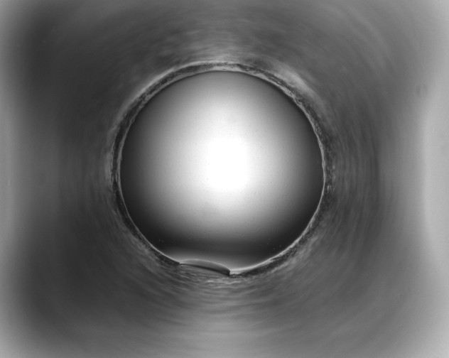 X0000088361216200706051017