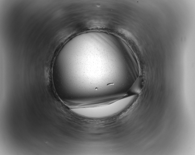 X0000088361217200706051017