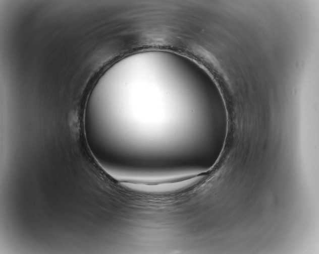 X0000088361218200706051017