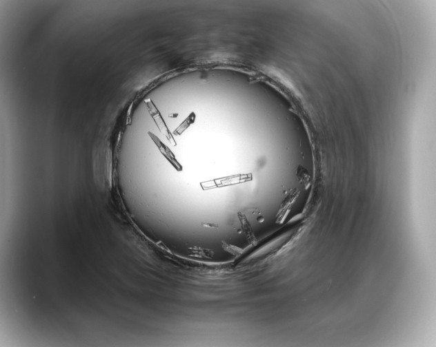 X0000088361219200706051017