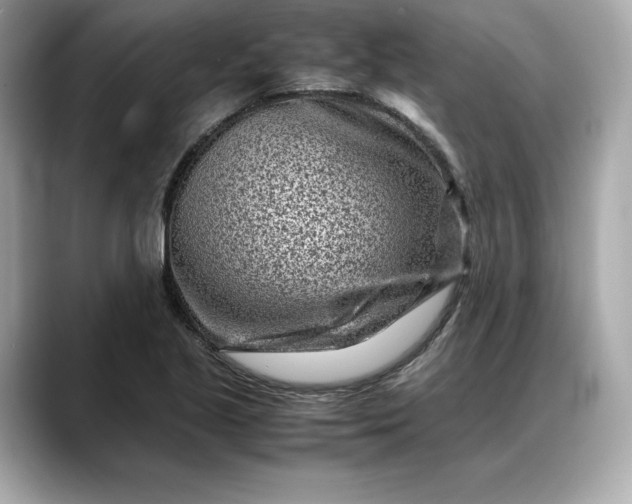 X0000088361221200706051017