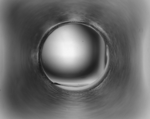 X0000088361222200706051017