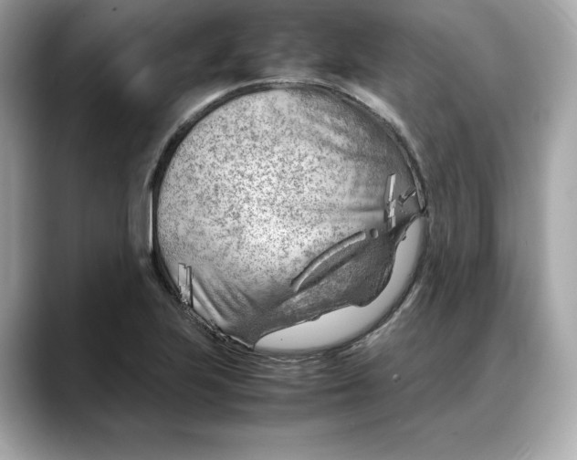 X0000088361223200706051017