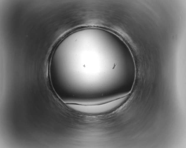 X0000088361224200706051017