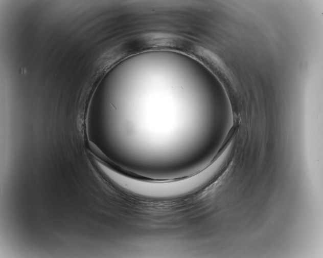 X0000088361225200706051017