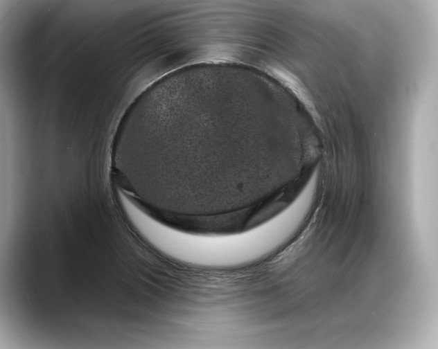 X0000088361226200706051017