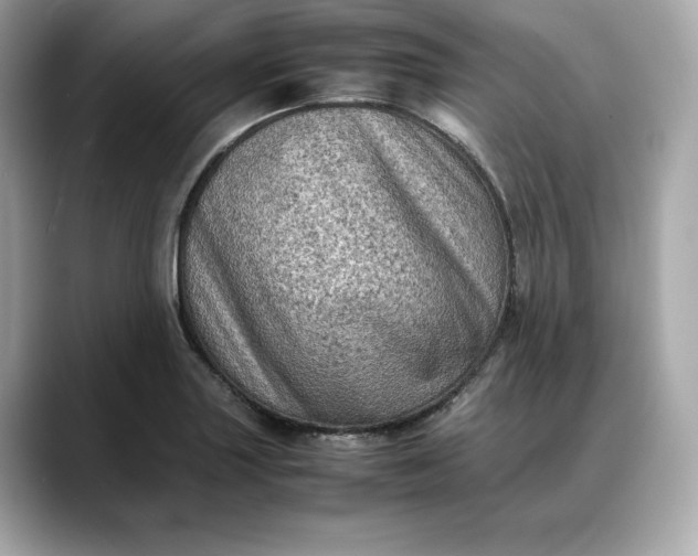 X0000088361227200706051017