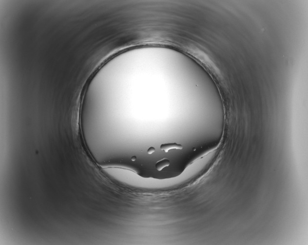 X0000088361228200706051017