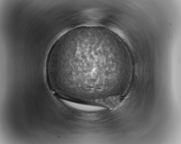 X0000088361229200706051017