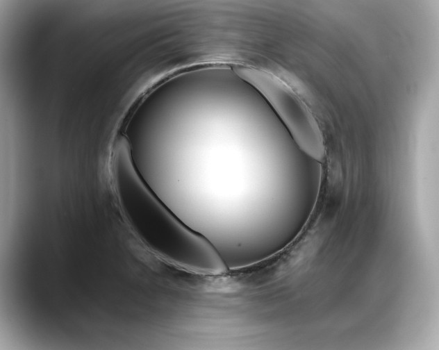 X0000088361230200706051017